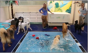 Pools open for ‘Dog days of summer’ Pools open for ‘Dog days of summer’