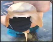 Florida man jailed for keeping shark in pool Florida man jailed for keeping shark in pool