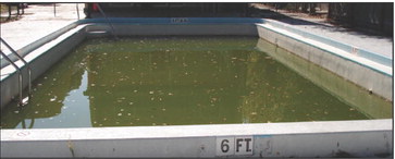 water testing to the pool …. water testing to the pool ….