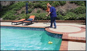 Pool Openings Checklist Pool Openings Checklist
