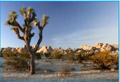 Drought conditions may spur water restrictions Drought conditions may spur water restrictions