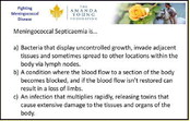 What is meningococcal septicaemia? What is meningococcal septicaemia?