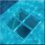 Pool Reflections … Pool Reflections …