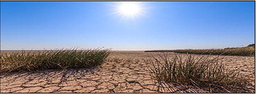 CPSA Alert: Get ready, severe drought on CPSA Alert: Get ready, severe drought on