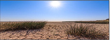 CPSA Alert: Get ready, severe drought on