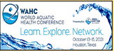 Registration open for World Aquatic Health Conference Registration open for World Aquatic Health Conference