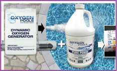 Reduce chlorine demand with ‘Dynamic Oxygen’ Reduce chlorine demand with ‘Dynamic Oxygen’