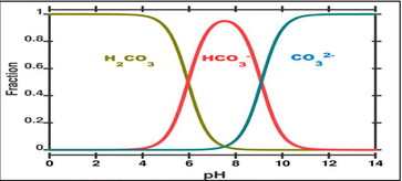How heat affects spa water chemistry How heat affects spa water chemistry