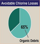 Using enzymes to reduce chlorine demand Using enzymes to reduce chlorine demand
