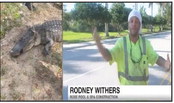 Yikes! 6-ft gator found in Florida pool Yikes! 6-ft gator found in Florida pool
