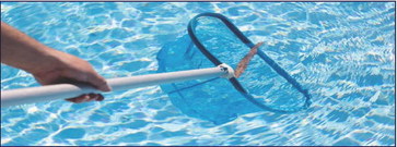 E.coli found in Penn. community pool E.coli found in Penn. community pool